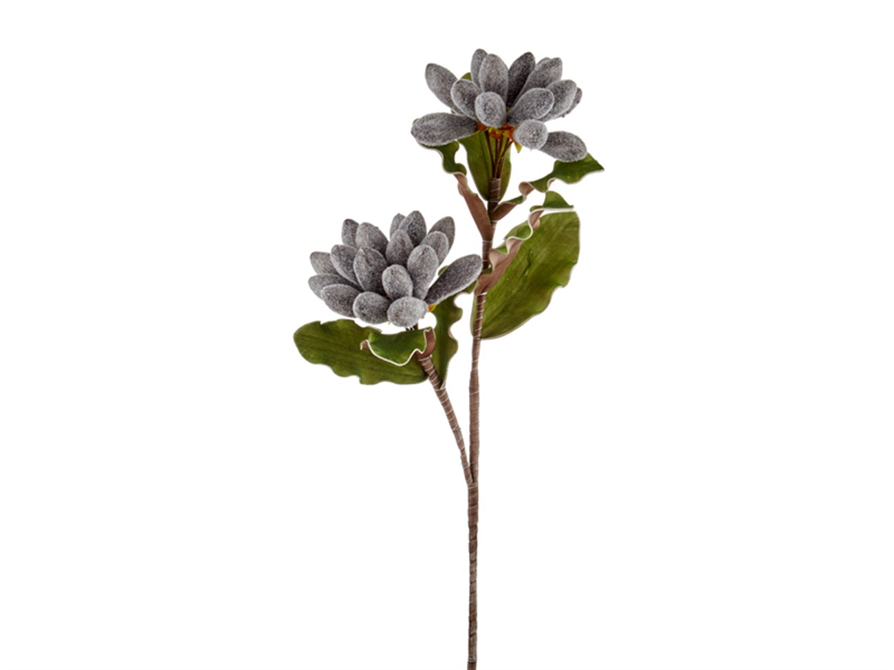 Agave Çiçeği Gri 105 cm